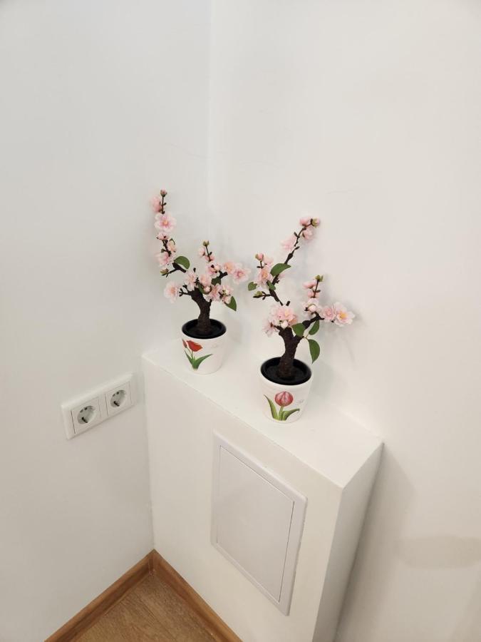 Apartman Zagreb Cca 42M2 With Free Parking Exterior photo