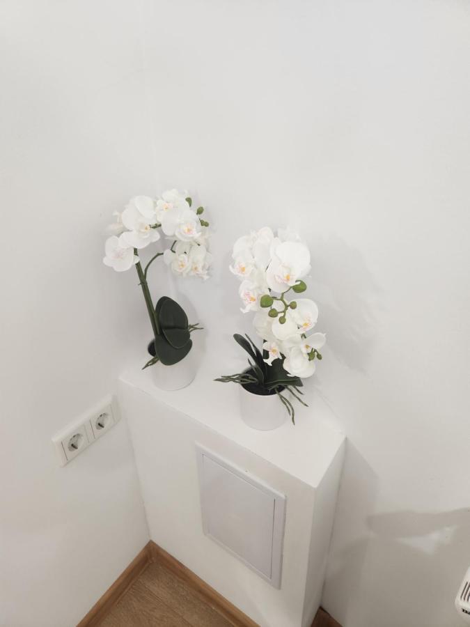 Apartman Zagreb Cca 42M2 With Free Parking Exterior photo